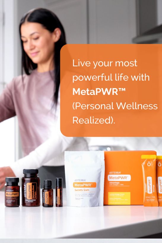 MetaPWR System